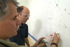 How to Repair Plaster Walls