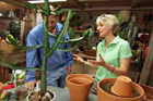 Choosing and caring for succulents with This Old House landscaping contractor, Roger Cook and houseplant expert, Carrie Kelly