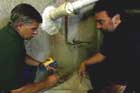 Fixing a leaky basement wall