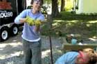 Building Wooden Landscape Steps