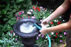 hose filling the vintage urn turned garden fountain