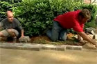How to Lay a Brick Walkway