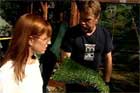How to Lay Artificial Turf