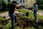 How to Plant a Tree in Poor Soil