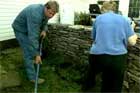 Planting a Vine