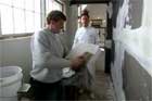 Plastering a wall
