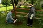 Pruning and Training Roses