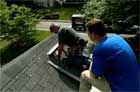 Removing Roof Moss