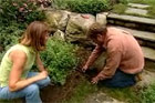 How to Repair Drip Irrigation