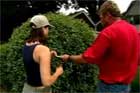 How to Transplant a Shrub