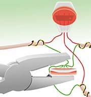 Quick Splices With UR Connectors: With these small devices, a new branch phone line can be added to an existing line with no stripping, splicing or junction box. Simply insert the color-matched wires into the connector and squeeze the red dot to secure the connection.
