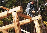 Adirondack Shed