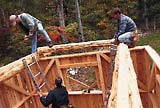 Adirondack Shed