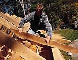 Adirondack shed