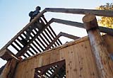 Adirondack Shed