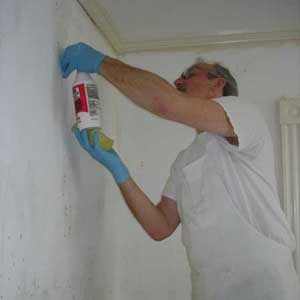 Spray the conditioner in all the holes
