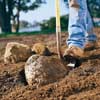 Remove rocks and roots