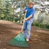 Rake in the grass seed