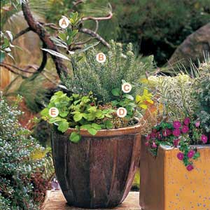 How to Plant in Pots | This Old House - 1 How to Plant in Pots | This Old House - 1