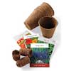 start your plant growing indoors with nest or peat pots