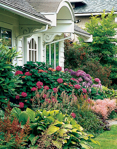 foundation plantings 
