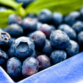 beer-blueberries-tummy