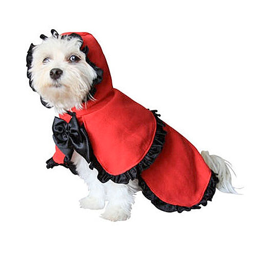 Funny Dog Halloween Costumes: Photos : People.com