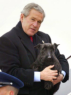 Barney Bush, First Dog, Dies, George W Bush Announces