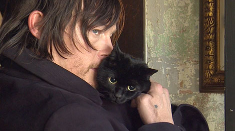 Norman Reedus Poses with His Cat, and It's Adorable : Video : People.com