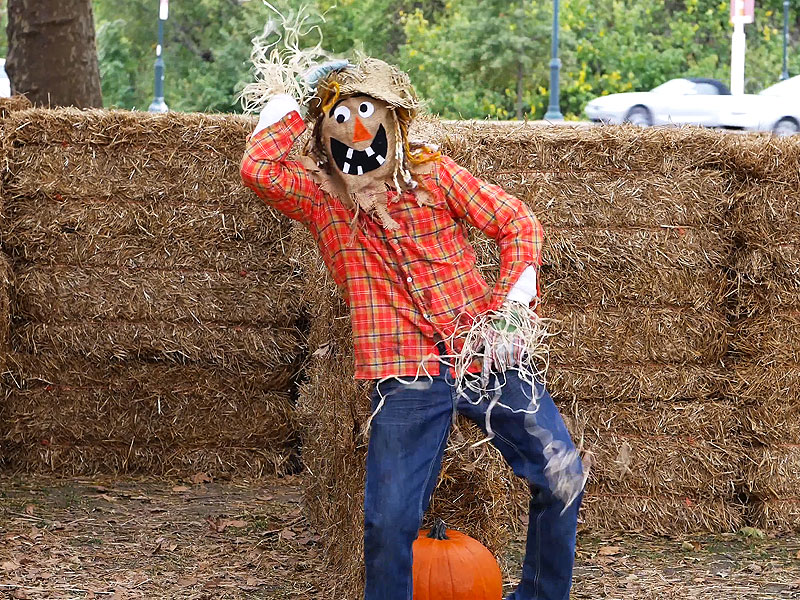 Ed Bassmaster Scarecrow Prank is Terrifying : People.com